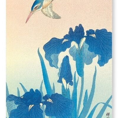 KINGFISHER ET IRIS Impression artistique japonaise