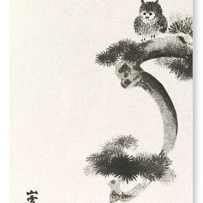 OWL ON PINE TREE Japanese Art Print