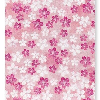 CHERRY BLOSSOM ON PINK Japanese Art Print