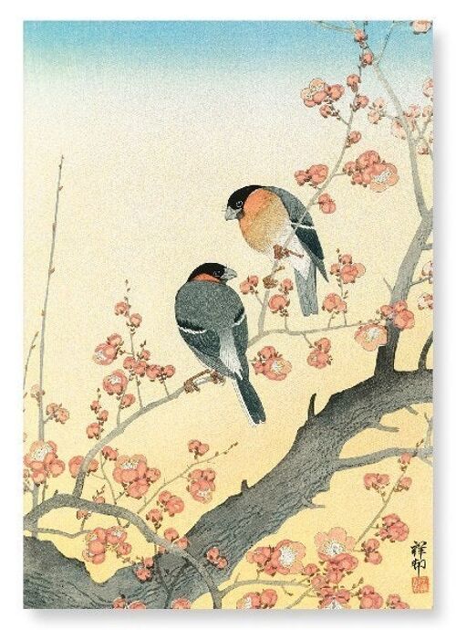 BULLFINCHES ON FLOWERING PLUM TREE Japanese Art Print