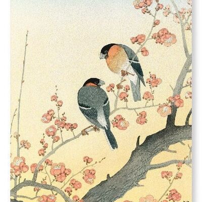 Ciuffolotti sul susino in fiore Stampa d'arte giapponese