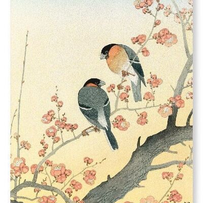 BULLFINCHES ON FLOWERING PLUM TREE Japanese Art Print