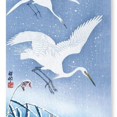 EGRETS DESCENDING IN SNOW Japanese Art Print