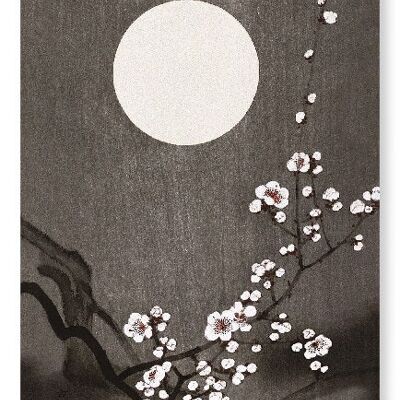 FLOWERING PLUM BLOSSOM AT FULL MOON Japanese Art Print