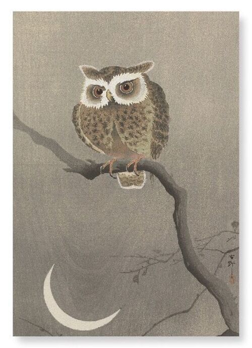 LONG-EARED OWL ON TREE BRANCH Japanese Art Print