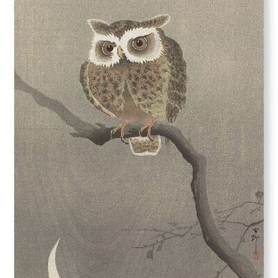 Hibou moyen-duc sur une branche d'arbre Impression artistique japonaise