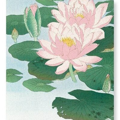 FLOWERING LOTUS Japanese Art Print