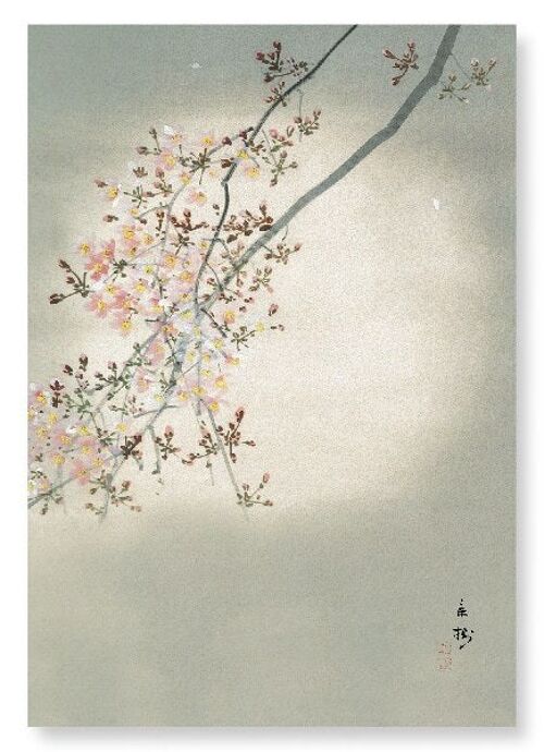 CHERRY BLOSSOM IN THE FULL MOON Japanese Art Print