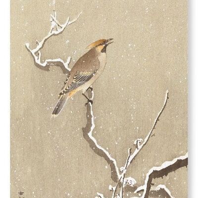 OISEAU CIREUR SUR BRANCHE NEIGE Impression artistique japonaise