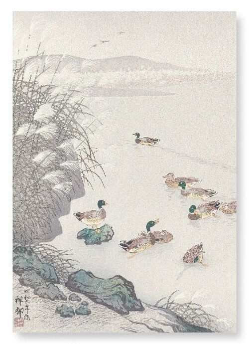 DUCKS IN THE WATER 1931  Japanese Art Print