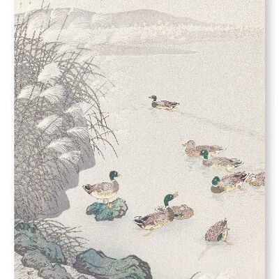 ENTEN IM WASSER 1931 Japanischer Kunstdruck