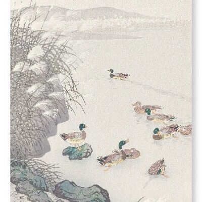 DUCKS IN THE WATER 1931  Japanese Art Print