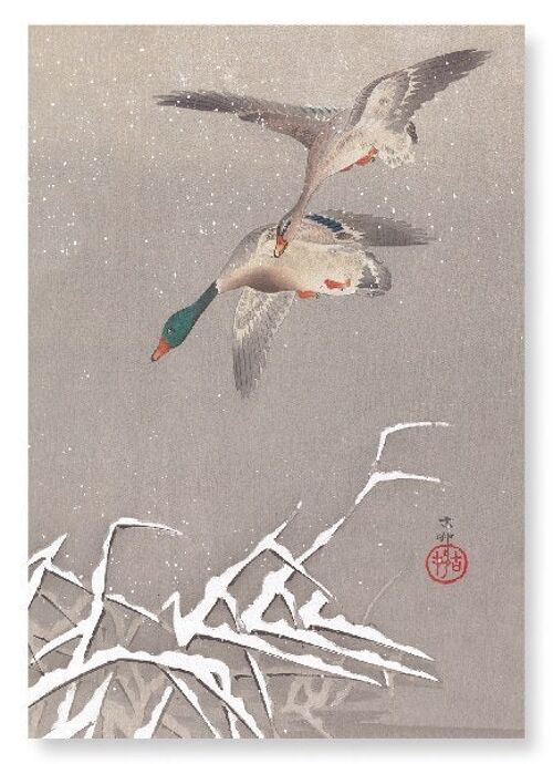 TWO MALLARDS DUCKS IN FLIGHT Japanese Art Print