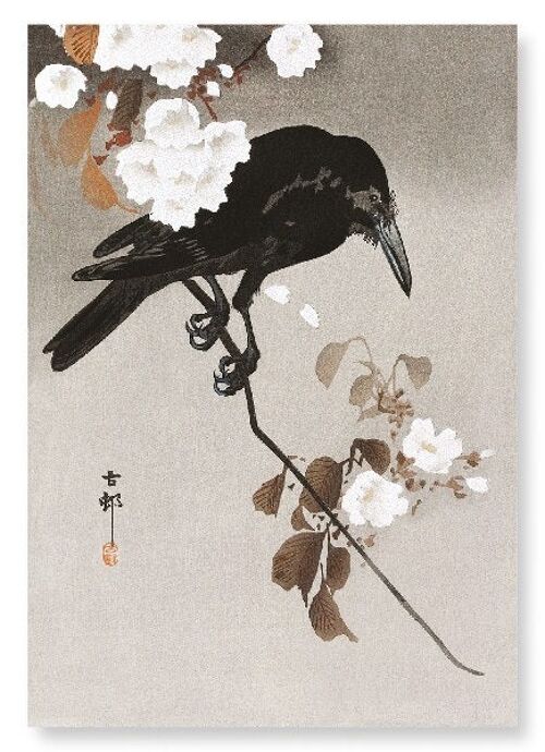 CROW WITH CHERRY BLOSSOM Japanese Art Print