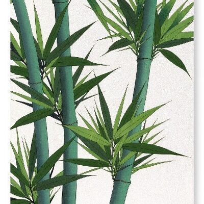 BAMBOO NO.2 Stampa artistica giapponese
