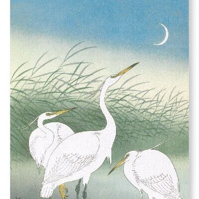 HERONS IN SHALLOW WATER Japanese Art Print