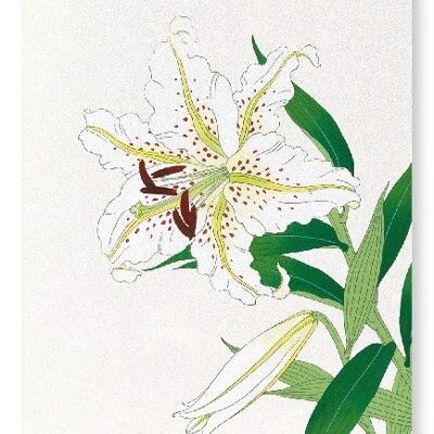 LILY Japanese Art Print