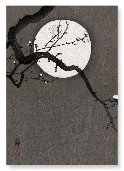 FULL MOON AND BLOSSOMS Japanese Art Print