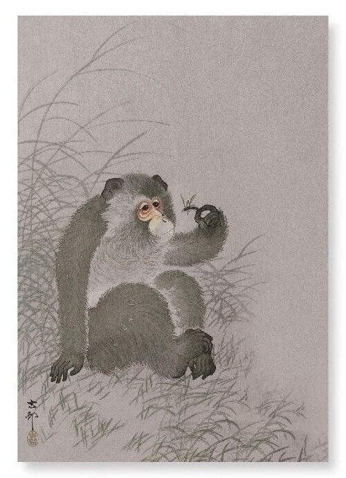MONKEY WITH INSECT Japanese Art Print