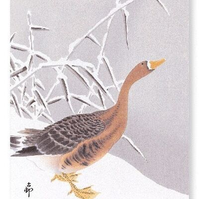 WHITE FRONTED GOOSE IN THE SNOW Japanese Art Print