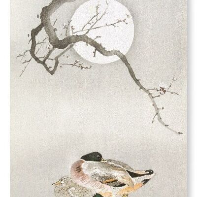 DUCKS AND BLOSSOM IN FULL MOON Japanese Art Print