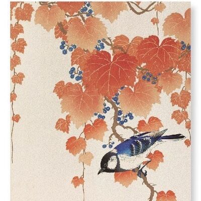 BIRD AND RED IVY Japanese Art Print
