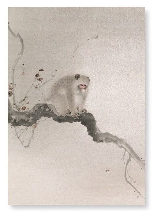 MONKEY ON TREE Japanese Art Print
