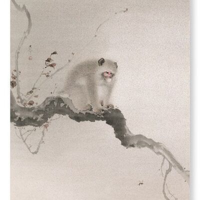 SINGE SUR L'ARBRE Impression artistique japonaise