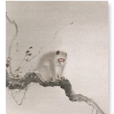 MONKEY ON TREE Japanese Art Print