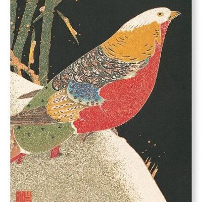 GOLDEN PHEASANT IN SNOW C.1900  Japanese Art Print