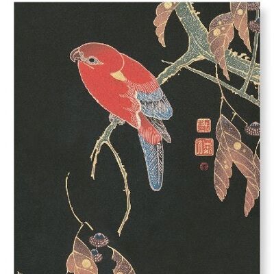 RED PARROT ON A BRANCH C.1900  Japanese Art Print