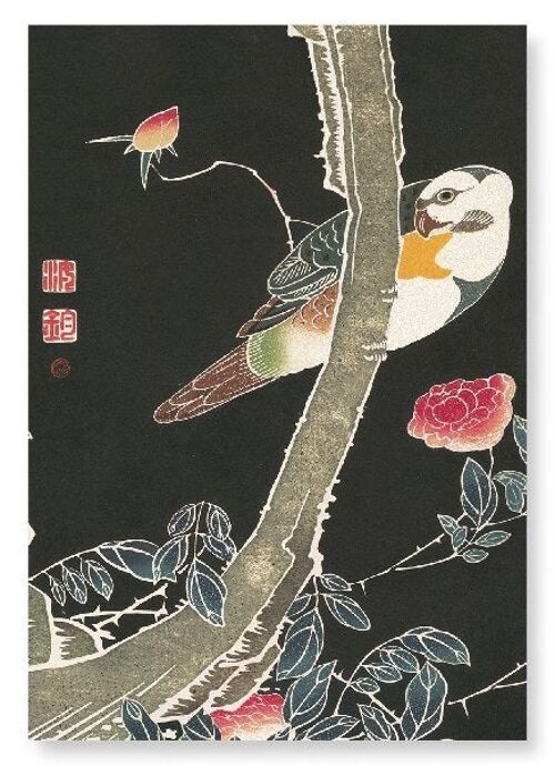 PARROT AND ROSE BUSH C.1900  Japanese Art Print