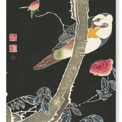 PAPAGEI UND ROSENBUCH C.1900 Japanischer Kunstdruck