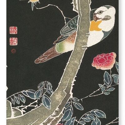 PARROT AND ROSE BUSH C.1900  Japanese Art Print