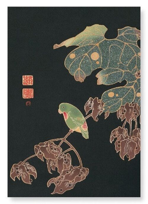 PAROQUET C.1900  Japanese Art Print