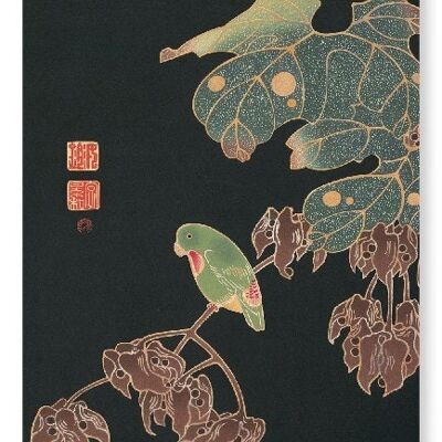 PAROQUET C.1900 Japanischer Kunstdruck