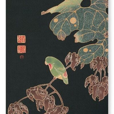 PAROQUET C.1900 Japonés Lámina artística