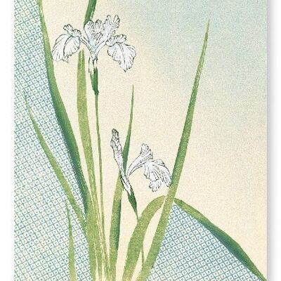 Kimono Saum - Schwertlilien 1899 japanischer Kunstdruck