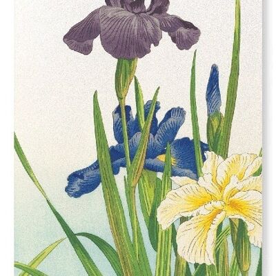 THREE IRIS FLOWERS 1937  Japanese Art Print
