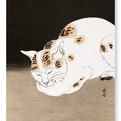 SCHLAFENDE KATZE C.1880 Japanischer Kunstdruck