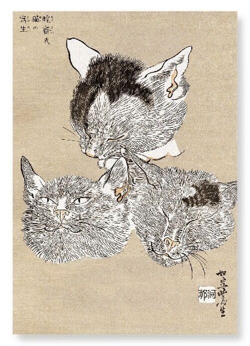 THREE CAT HEADS C.1880  Japanese Art Print