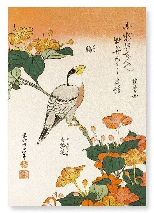 JAPANESE GROSBEAK WITH MARVEL-OF-PERU FLOWERS C.1834  2xPrints
