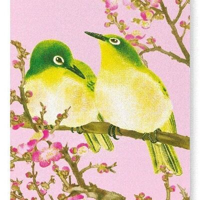 WARBLING WHITE-EYE WITH PLUM BLOSSOMS C.1930  2xPrints