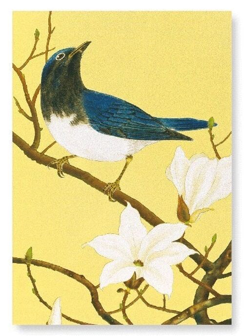 BLUE-AND-WHITE FLYCATCHER AND MAGNOLIA TREE C.1930  2xPrints