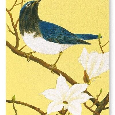 BLUE-AND-WHITE FLYCATCHER AND MAGNOLIA TREE C.1930  2xPrints