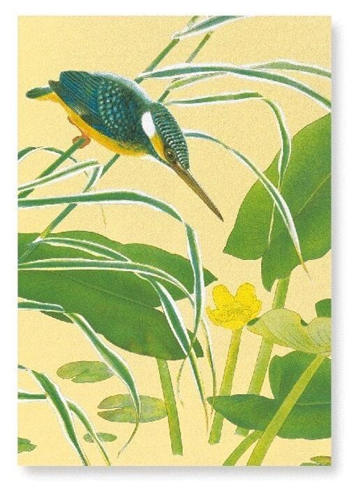 KINGFISHER WITH EAST ASIAN YELLOW WATER-LILY C.1930  2xJapanese Art Prints