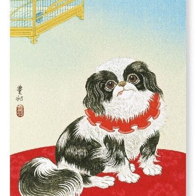 PEKINGESE DOG C.1930 Stampa artistica giapponese