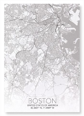 CARTE COMPLÈTE DE BOSTON (LUMIÈRE): Impression artistique 3