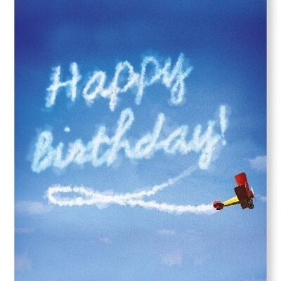 BIRTHDAY PLANE Art Print