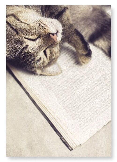 CAT AND BOOK Art Print